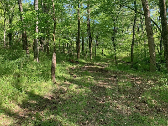 6816 Drumright Hills Ln, College Grove, TN 37046 - photo 14