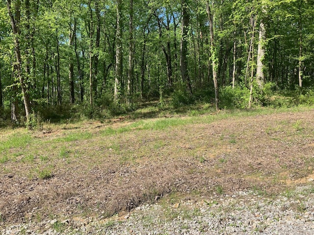 6816 Drumright Hills Ln, College Grove, TN 37046 - photo 7