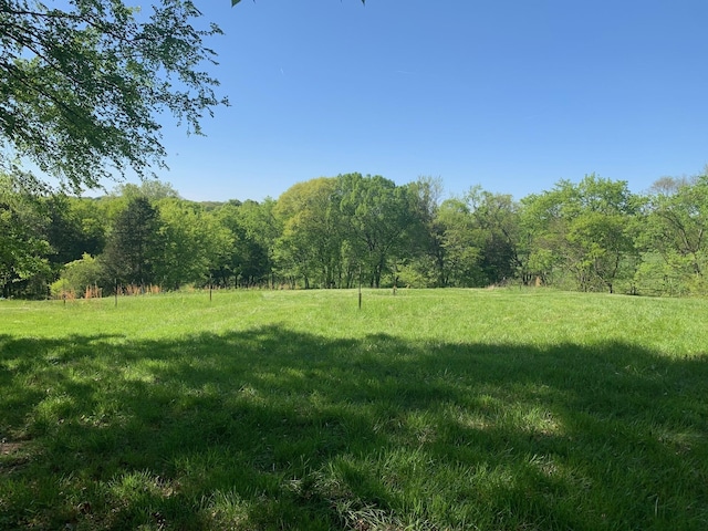 6816 Drumright Hills Ln, College Grove, TN 37046 - photo 12