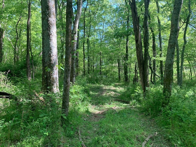 6816 Drumright Hills Ln, College Grove, TN 37046 - photo 15