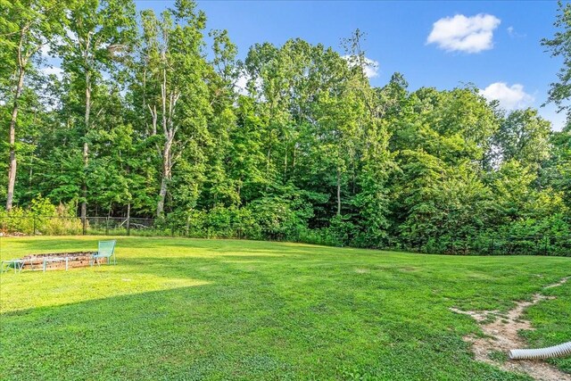 768 Laurel Crown Rd, Manchester, TN 37355 - photo 50