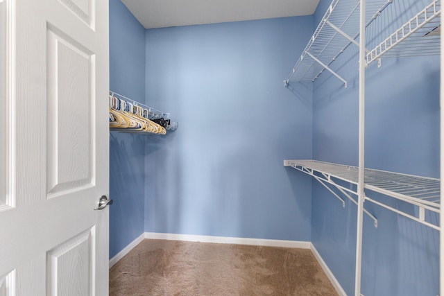 123 Shore Dr, White House, TN 37188 - photo 16