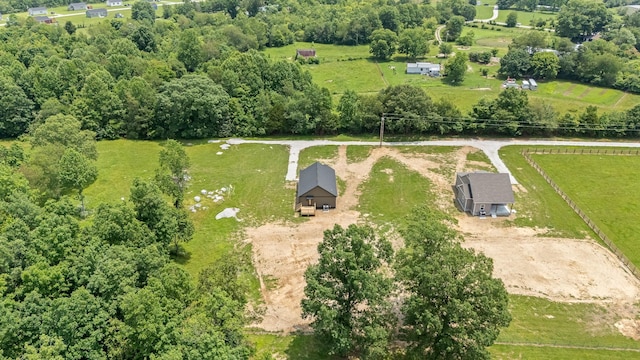 223 Patriot Ln, Estill Springs, TN 37330 - aerial view of sparsely populated area