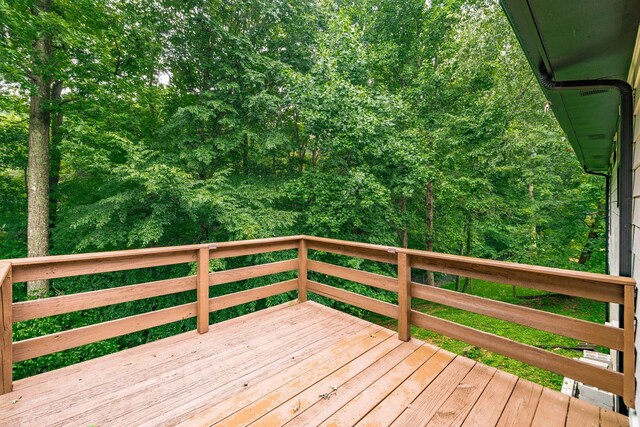 1012 Hollis Ln, White House, TN 37188 - photo 35