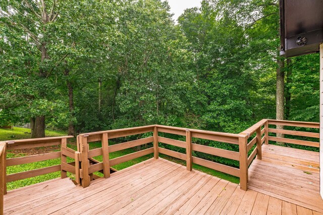 1012 Hollis Ln, White House, TN 37188 - photo 33