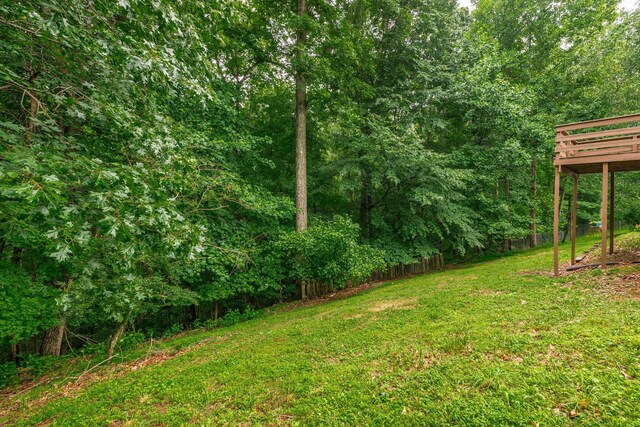 1012 Hollis Ln, White House, TN 37188 - photo 44
