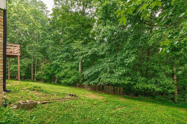 1012 Hollis Ln, White House, TN 37188 - photo 45
