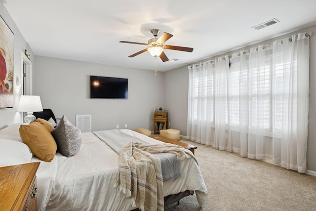 2462 Bridgeway St, Murfreesboro, TN 37128 - photo 55