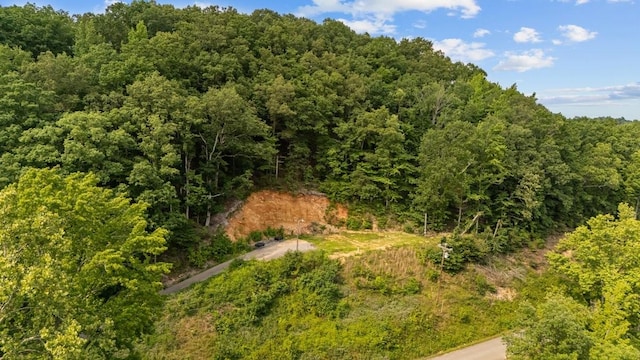 9740 Clydeton Rd, Waverly, TN 37185