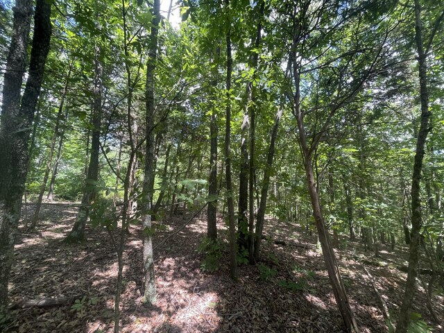0 Chestnut Grove Rd, Pulaski, TN 38478