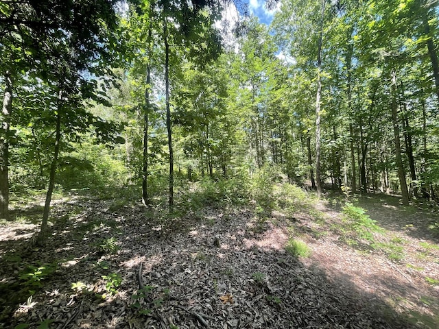 0 Chestnut Grove Rd, Pulaski, TN 38478