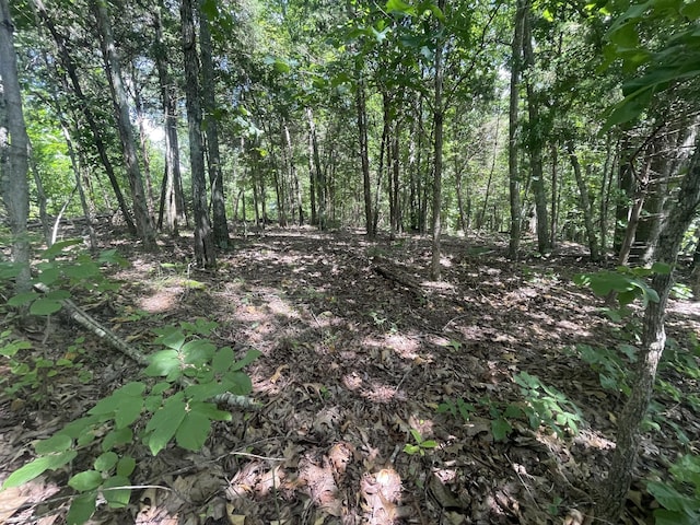 0 Chestnut Grove Rd, Pulaski, TN 38478