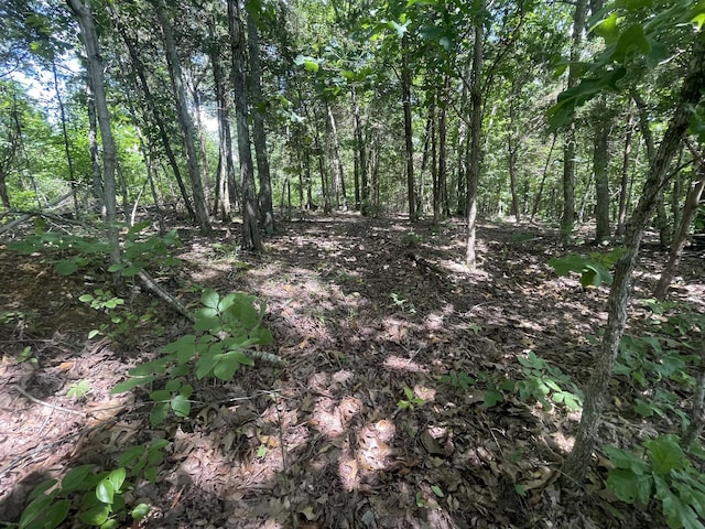 0 Chestnut Grove Rd, Pulaski, TN 38478