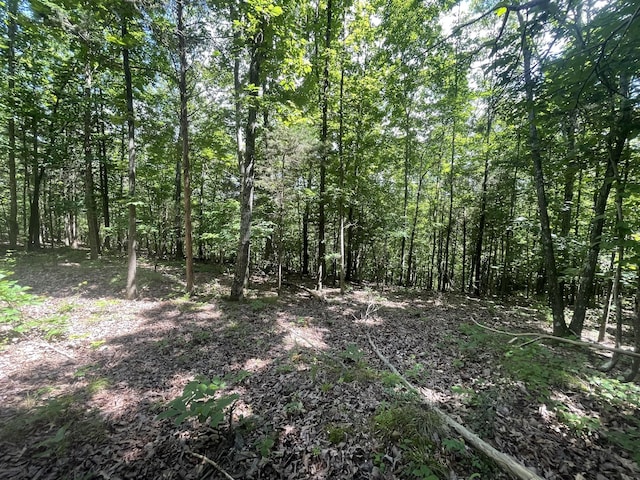 0 Chestnut Grove Rd, Pulaski, TN 38478