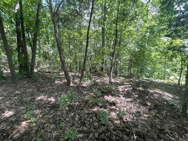 0 Chestnut Grove Rd, Pulaski, TN 38478