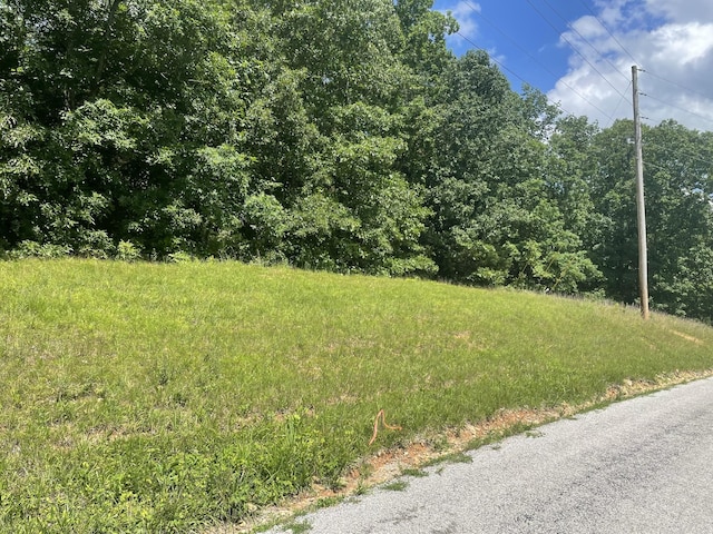 0 Chestnut Grove Rd, Pulaski, TN 38478