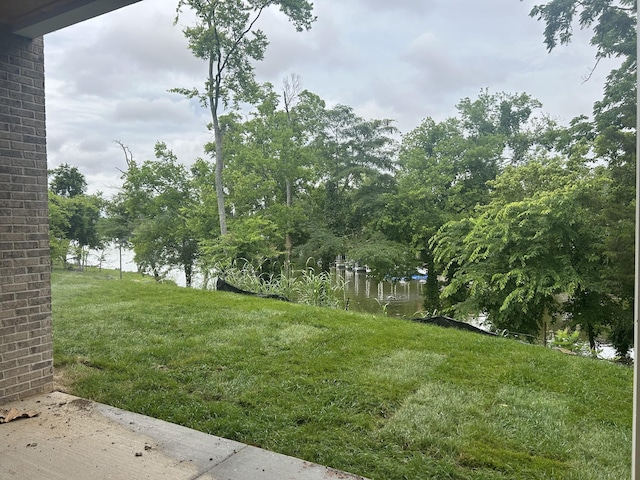 1370 Reynard Dr, Gallatin, TN 37066 - photo 19