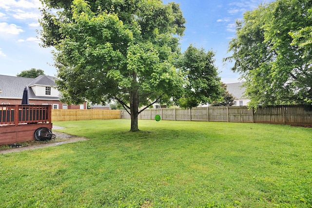2507 Patricia Cir, Murfreesboro, TN 37128 - view of fenced backyard