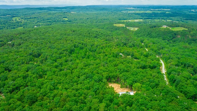 87 Apple Rd, Pikeville, TN 37367 - photo 18
