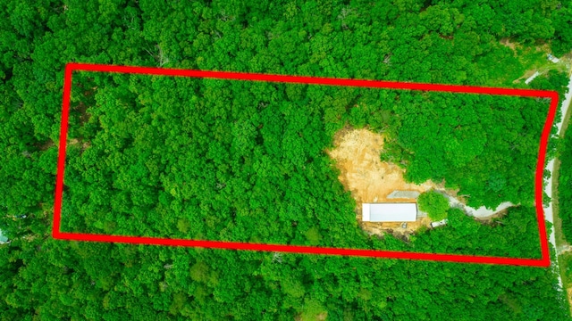 87 Apple Rd, Pikeville, TN 37367 - photo 2