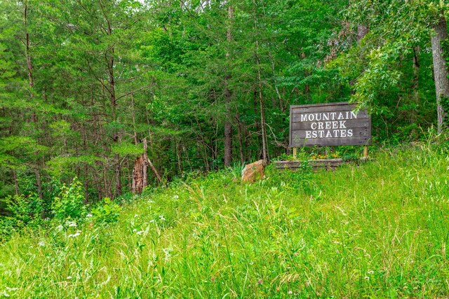 87 Apple Rd, Pikeville, TN 37367 - photo 17