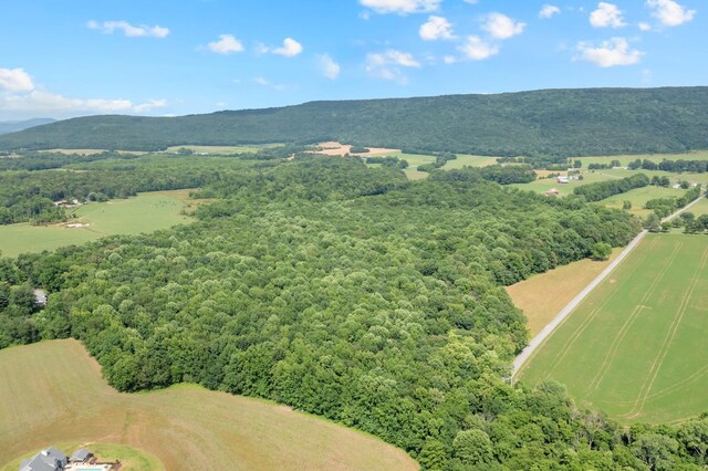 0 Meadows Rd, Hillsboro, TN 37342 - photo 3