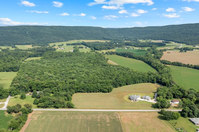 0 Hillsboro Viola Rd, Hillsboro, TN 37342 - photo 2