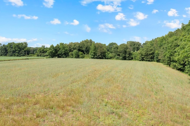 0 Hillsboro Viola Rd, Hillsboro, TN 37342 - photo 8