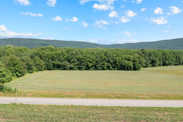 0 Hillsboro Viola Rd, Hillsboro, TN 37342 - photo 9