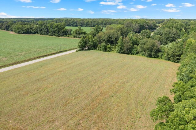 0 Hillsboro Viola Rd, Hillsboro, TN 37342 - photo 7
