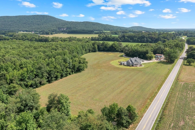 0 Hillsboro Viola Rd, Hillsboro, TN 37342 - photo 3