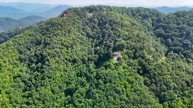 0 Balsam Slopes Rd, Sevierville, TN 37862