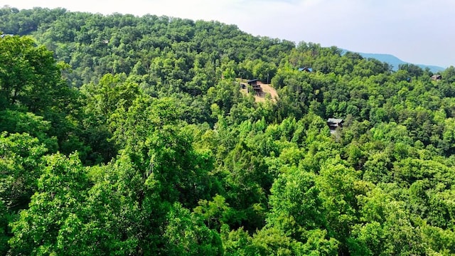 0 Balsam Slopes Rd, Sevierville, TN 37862