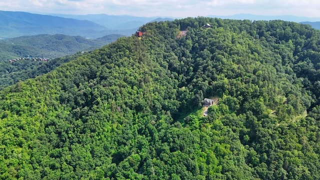 0 Balsam Slopes Rd, Sevierville, TN 37862