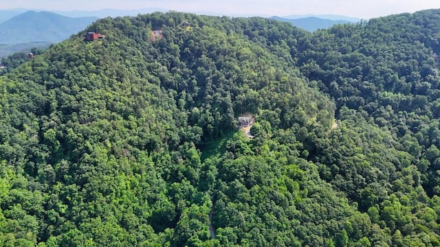 0 Balsam Slopes Rd, Sevierville, TN 37862
