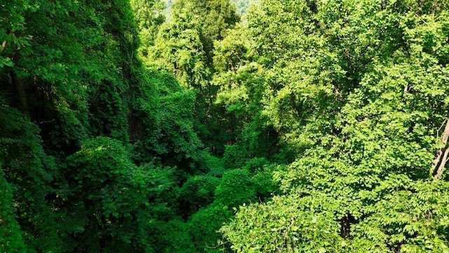 0 Balsam Slopes Rd, Sevierville, TN 37862