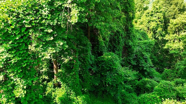 0 Balsam Slopes Rd, Sevierville, TN 37862
