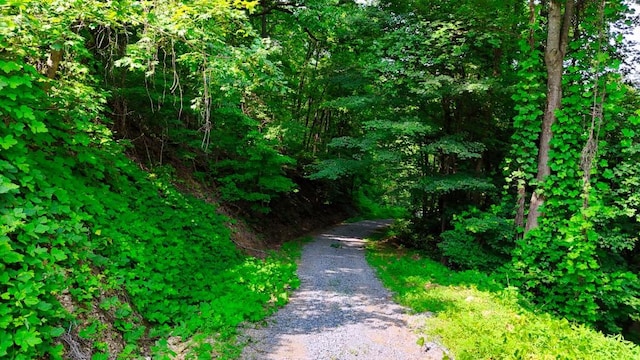 0 Balsam Slopes Rd, Sevierville, TN 37862