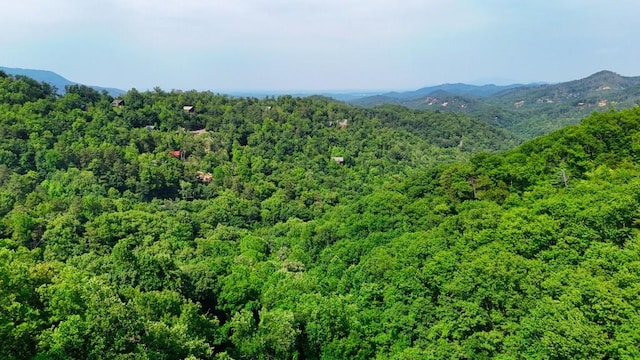 0 Balsam Slopes Rd, Sevierville, TN 37862