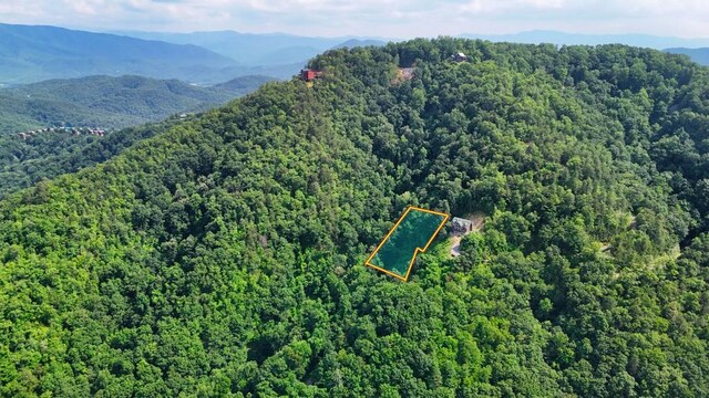0 Balsam Slopes Rd, Sevierville, TN 37862