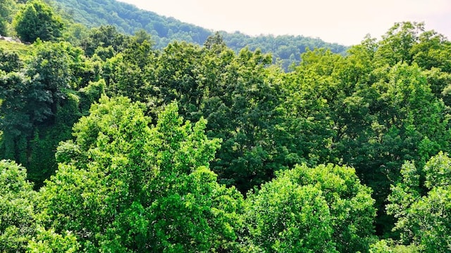 0 Balsam Slopes Rd, Sevierville, TN 37862