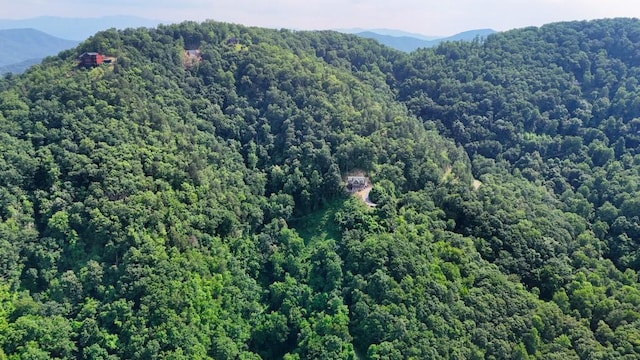 0 Balsam Slopes Rd, Sevierville, TN 37862