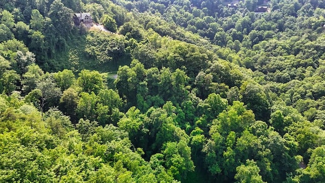 0 Balsam Slopes Rd, Sevierville, TN 37862