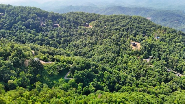 0 Balsam Slopes Rd, Sevierville, TN 37862