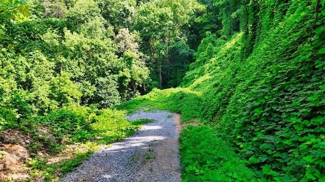 0 Balsam Slopes Rd, Sevierville, TN 37862