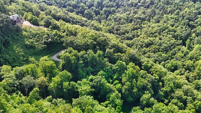 0 Balsam Slopes Rd, Sevierville, TN 37862