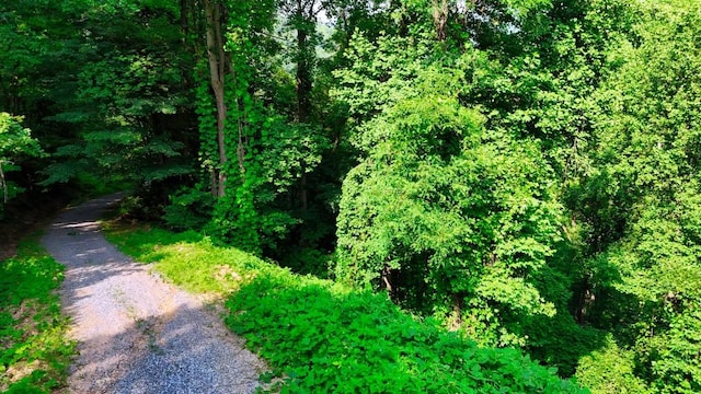 0 Balsam Slopes Rd, Sevierville, TN 37862