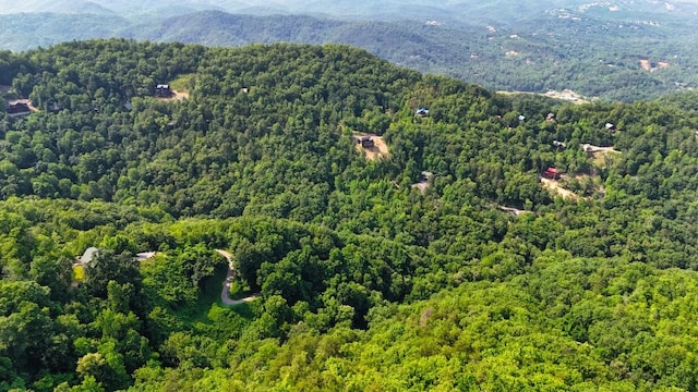 0 Balsam Slopes Rd, Sevierville, TN 37862