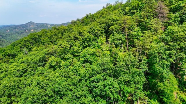 0 Balsam Slopes Rd, Sevierville, TN 37862
