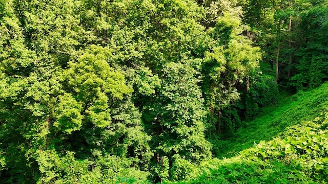 0 Balsam Slopes Rd, Sevierville, TN 37862